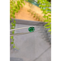 1.71 Ct. Emerald from Zambia Life Style
