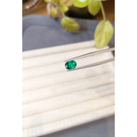 1.08 Ct. Emerald from Zambia Life Style