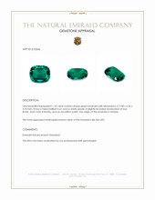 1.18 Ct. Emerald from Zambia Appraisal