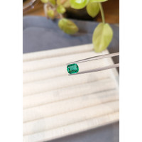 1.18 Ct. Emerald from Zambia Life Style