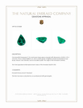 1.04 Ct. Emerald from Zambia Appraisal