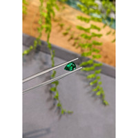 1.06 Ct. Emerald from Zambia Life Style