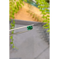 1.14 Ct. Emerald from Zambia Life Style