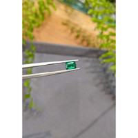 0.89 Ct. Emerald from Zambia Life Style