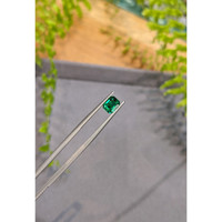 1.09 Ct. Emerald from Zambia Life Style