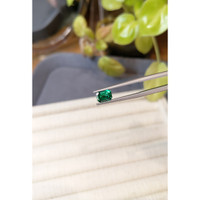 1.00 Ct. Emerald from Zambia Life Style