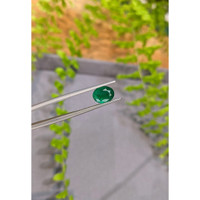 1.92 Ct. Emerald from Zambia Life Style