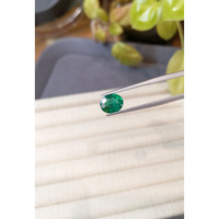 1.49 Ct. Emerald from Zambia Life Style