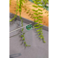 1.65 Ct. Emerald from Zambia Life Style