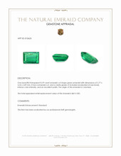 0.59 Ct. Emerald from Colombia Appraisal
