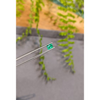 0.43 Ct. Emerald from Zambia Life Style