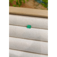 0.43 Ct. Emerald from Colombia Life Style
