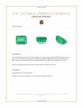 0.60 Ct. Emerald from Colombia Appraisal