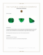 4.08 Ct. Emerald from Zambia Appraisal