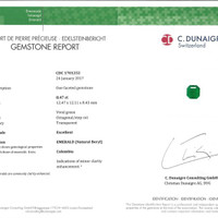 8.47 Ct. Emerald from Colombia Pdf