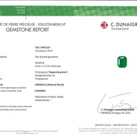 12.23 Ct. Emerald from Colombia Pdf