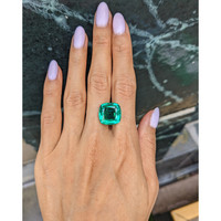 13.87 Ct. Emerald from Zambia Life Style
