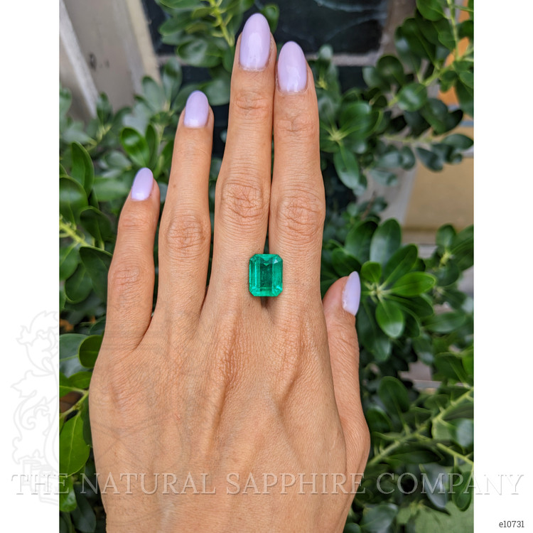 8.28 Ct. Emerald from Colombia - Muzo