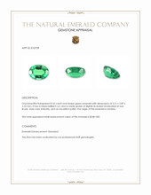 0.33 Ct. Emerald from Zambia Appraisal