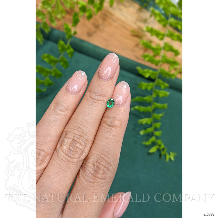 0.33 Ct. Emerald from Zambia