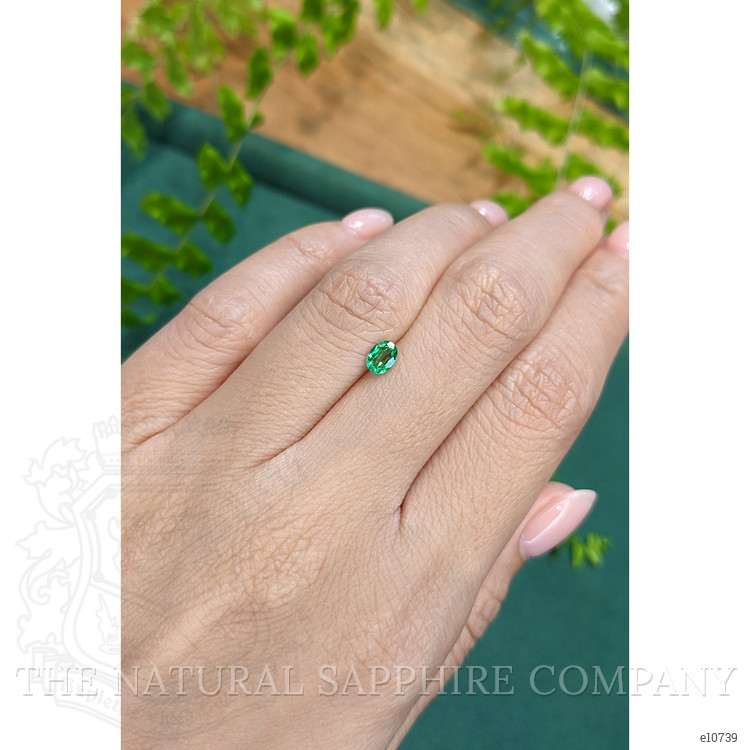 0.33 Ct. Emerald from Zambia