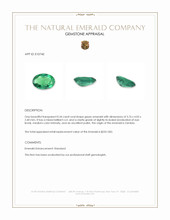 0.34 Ct. Emerald from Zambia Appraisal