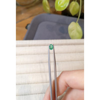 0.34 Ct. Emerald from Zambia Life Style
