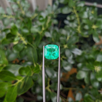 6.84 Ct. Emerald from Colombia Life Style