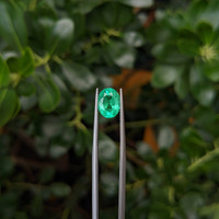 1.72 Ct. Emerald from Colombia Life Style