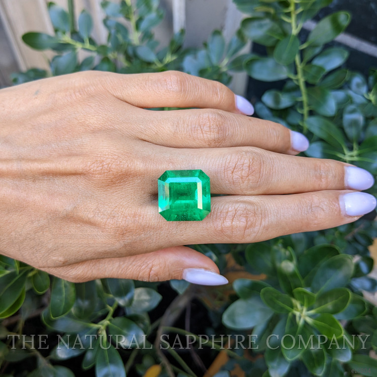 22.81 Ct. Emerald from Colombia