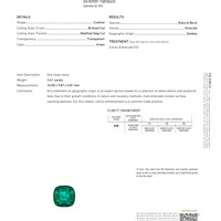 3.61 Ct. Emerald from Zambia Pdf