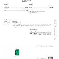 6.68 Ct. Emerald from Zambia Pdf