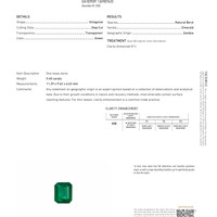 5.40 Ct. Emerald from Zambia Pdf