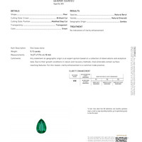 5.13 Ct. Emerald from Zambia Pdf
