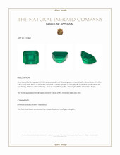 2.18 Ct. Emerald from Brazil Appraisal