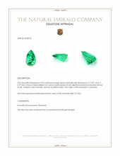 4.02 Ct. Emerald from Colombia Appraisal