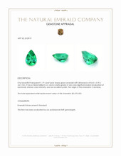 1.19 Ct. Emerald from Colombia Appraisal