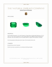 1.29 Ct. Emerald from Colombia Appraisal
