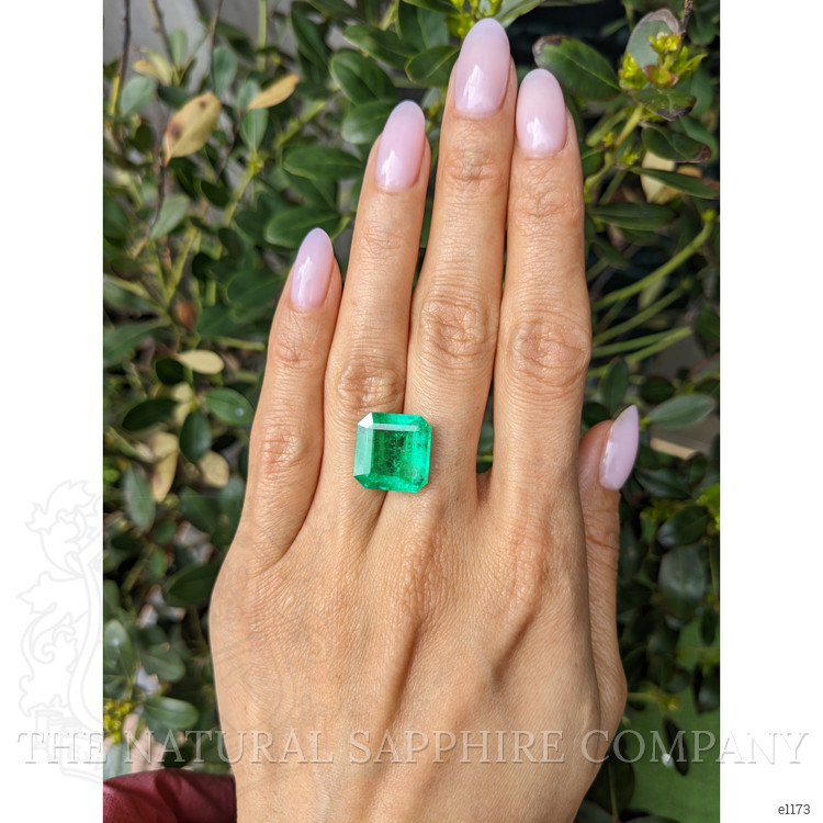 12.16 Ct. Emerald from Colombia