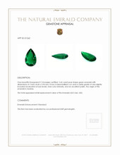 2.64 Ct. Emerald from Zambia Appraisal