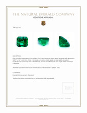 2.69 Ct. Emerald from Colombia Appraisal