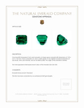 2.60 Ct. Emerald from Zambia Appraisal