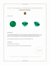 0.93 Ct. Emerald from Zambia Appraisal