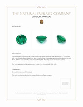 0.89 Ct. Emerald from Zambia Appraisal
