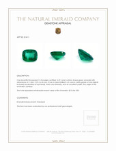 4.49 Ct. Emerald from Zambia Appraisal