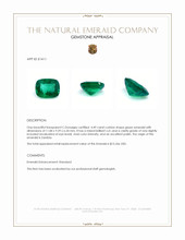 4.49 Ct. Emerald from Zambia Appraisal