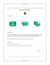 1.19 Ct. Emerald from Zambia Appraisal