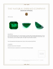 2.92 Ct. Emerald from Zambia Appraisal