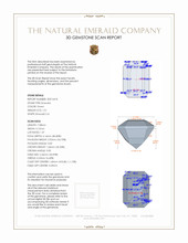 Jewelry 3 D Scan Report