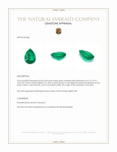 0.58 Ct. Emerald from Colombia Appraisal